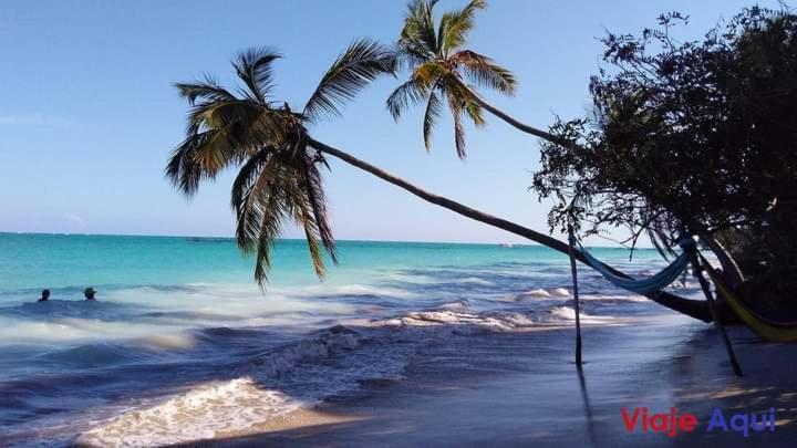 Solemar Daire Maceió Dış mekan fotoğraf